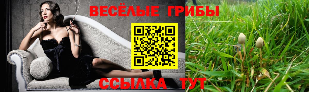 Псилоцибиновые грибы мицелий Пугачёв